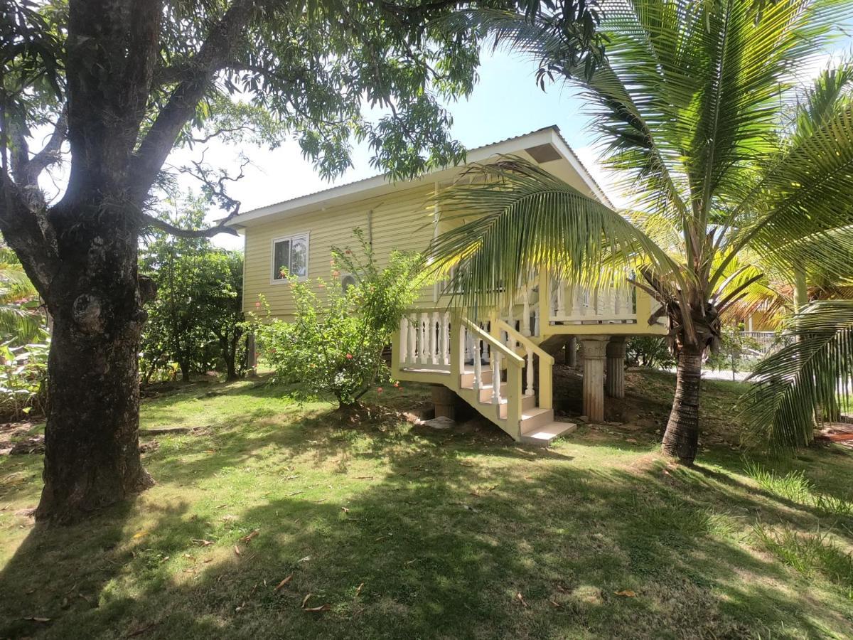 Single-Family Home With Gated Tropical Yard West End Kültér fotó